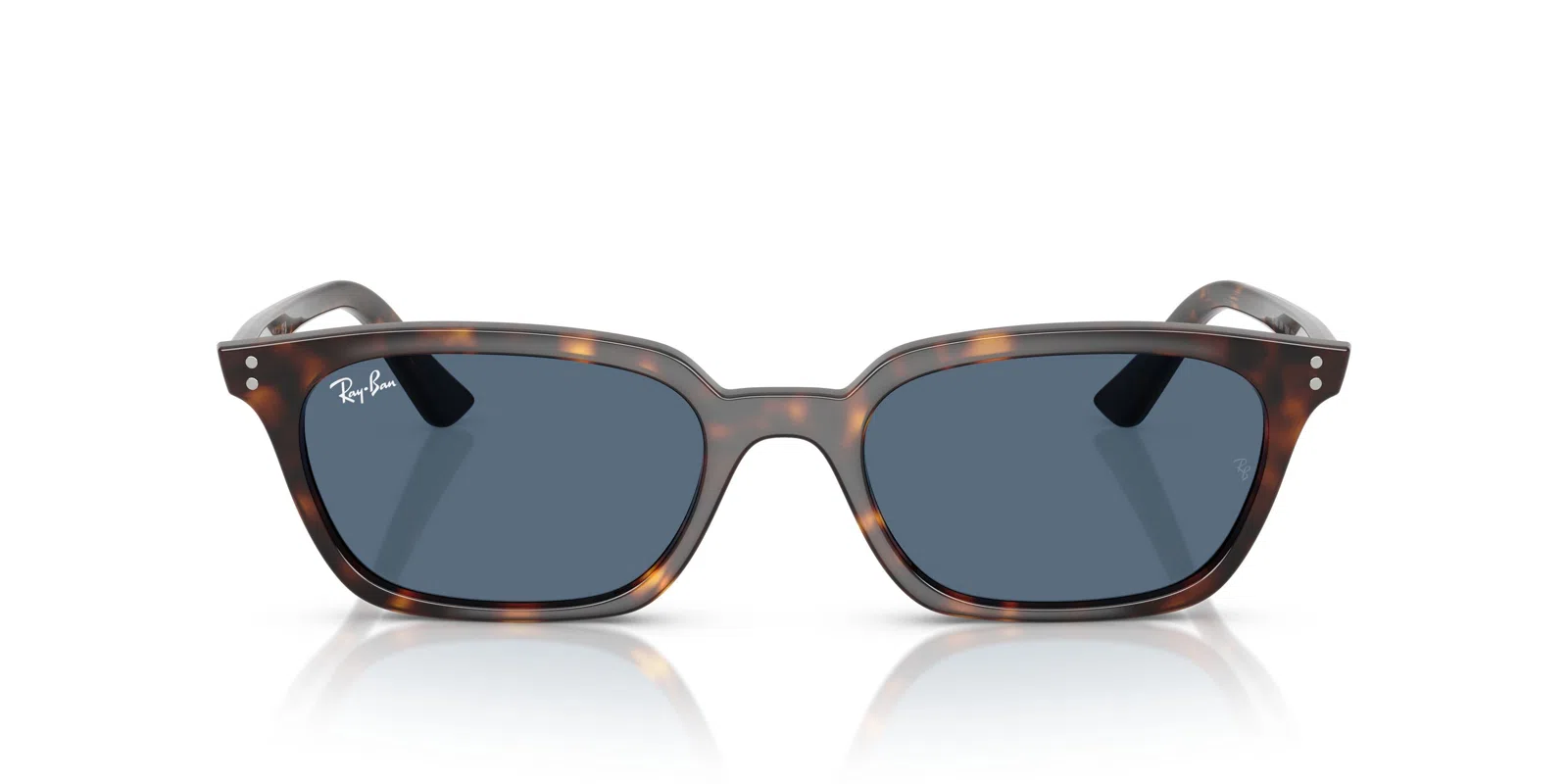 Ray-Ban Zaya 4456 Sunglasses - view 11